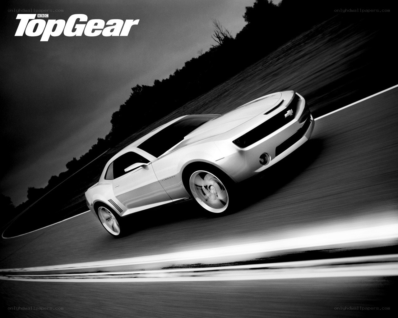 White car on a racetrack