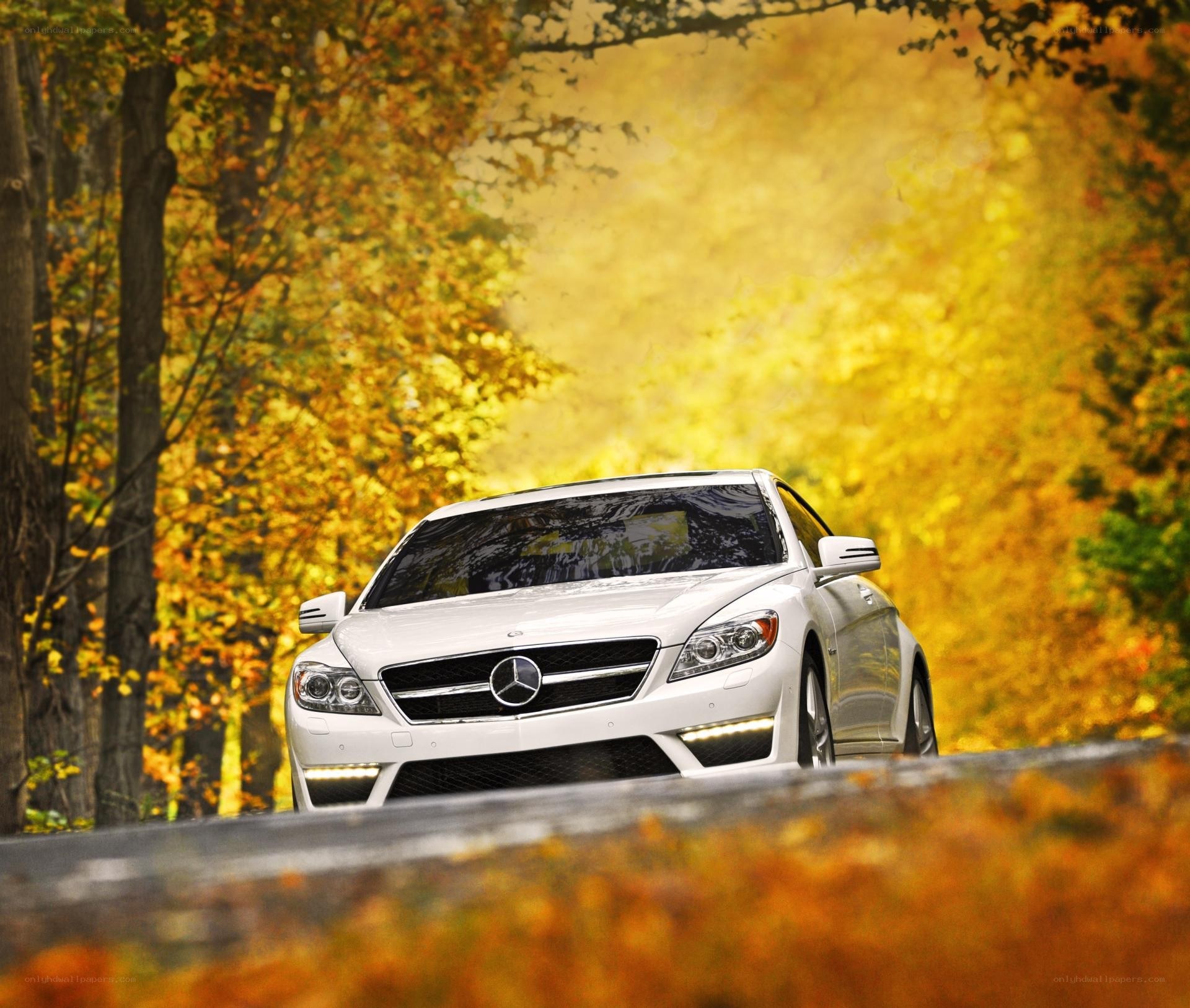 White car on autumn road