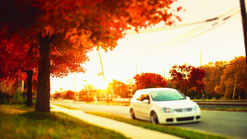 White car on autumn street