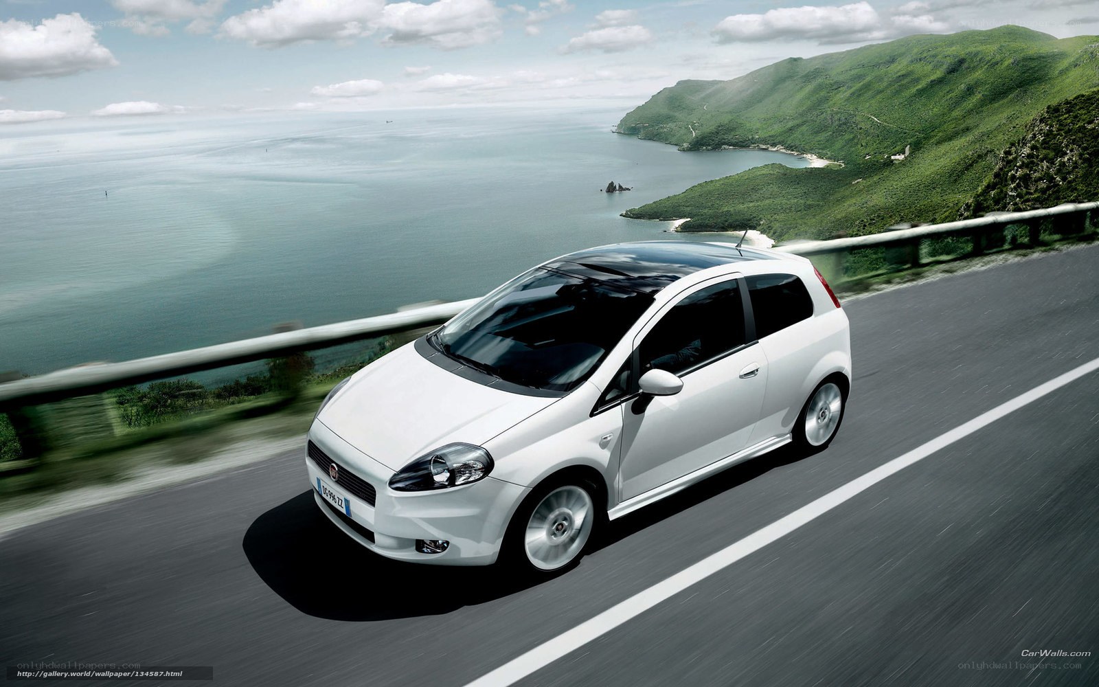 White car on coastal road