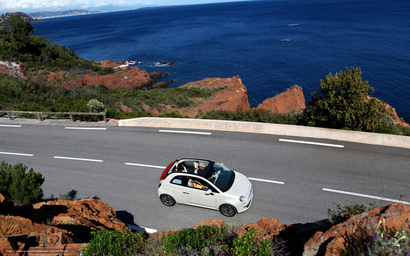 White Car on Coastal Road — Blue