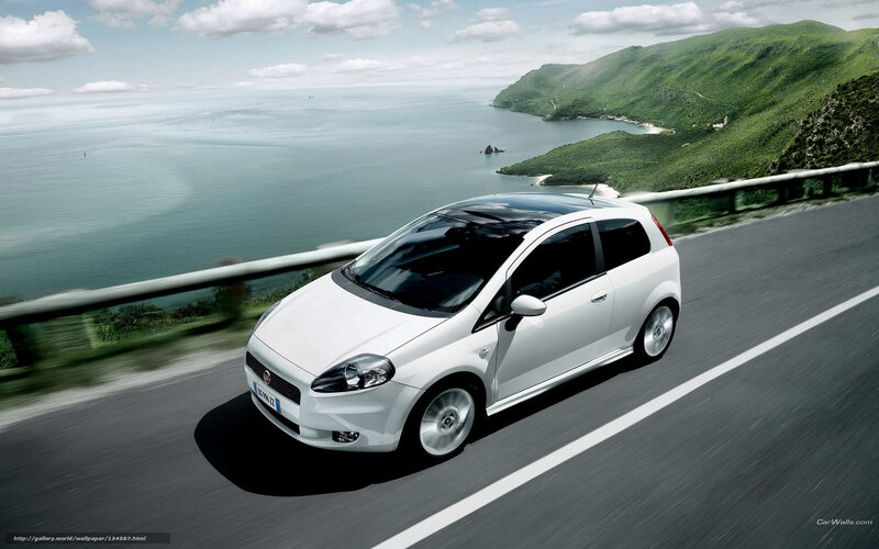 White Car on Coastal Road — Serene