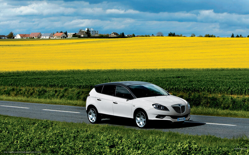 White car on country road