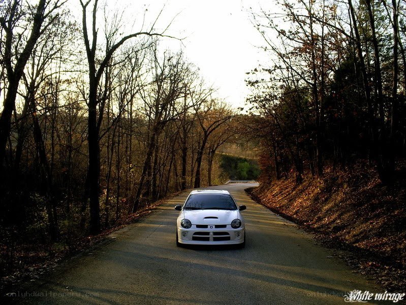White car on forest road
