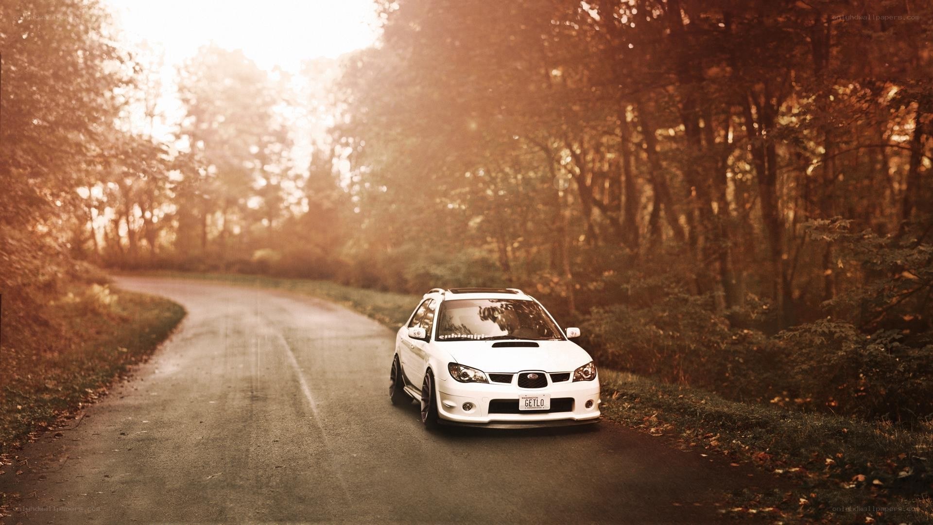 white car on forest road