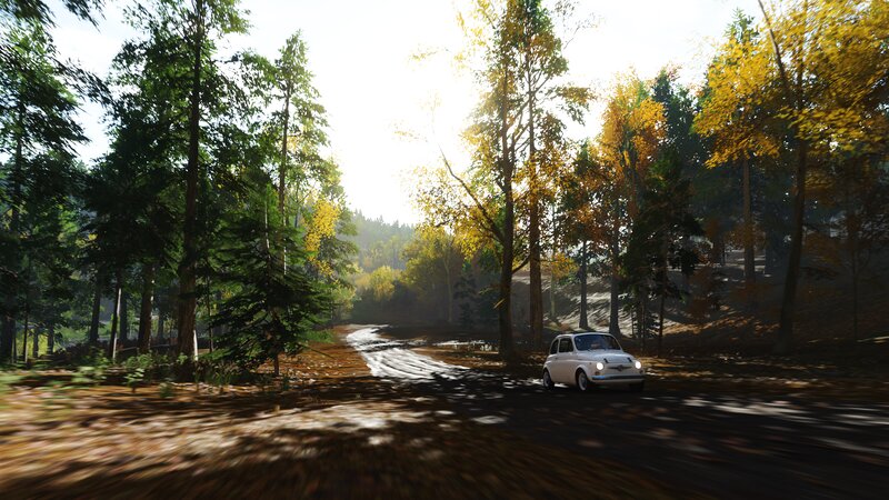 White Car on Forest Road — Green