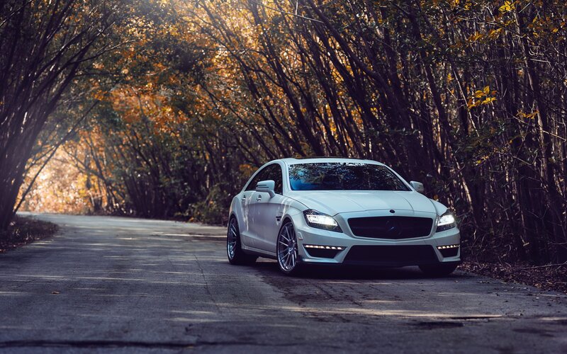 White Car on Forest Road — Serene, Autumn
