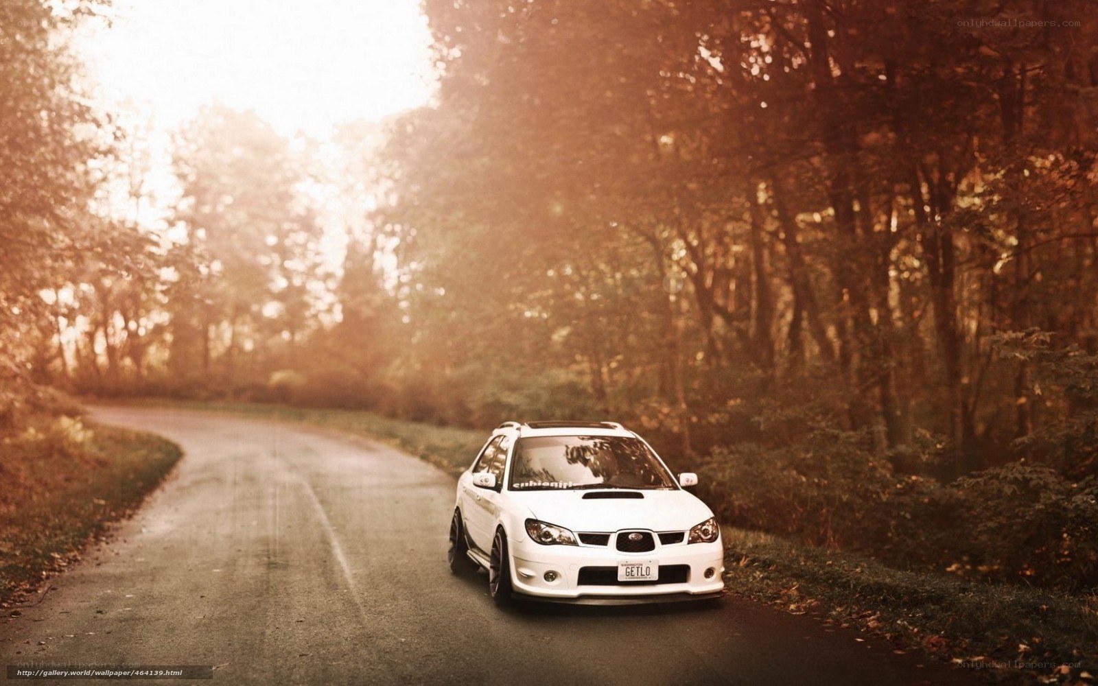 White car on forest road