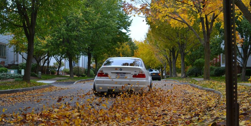 White Car on Leaf-covered Street