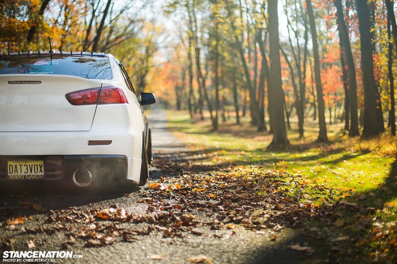 White Car on Leafy Road