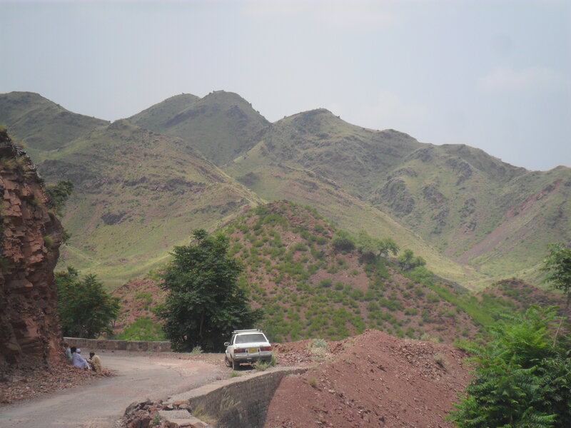 White Car on Mountain Road — Green