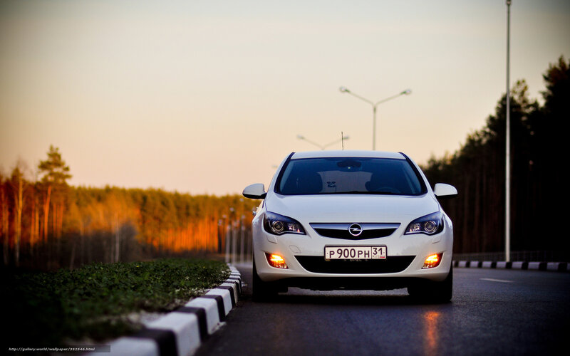 White car on road at sunset