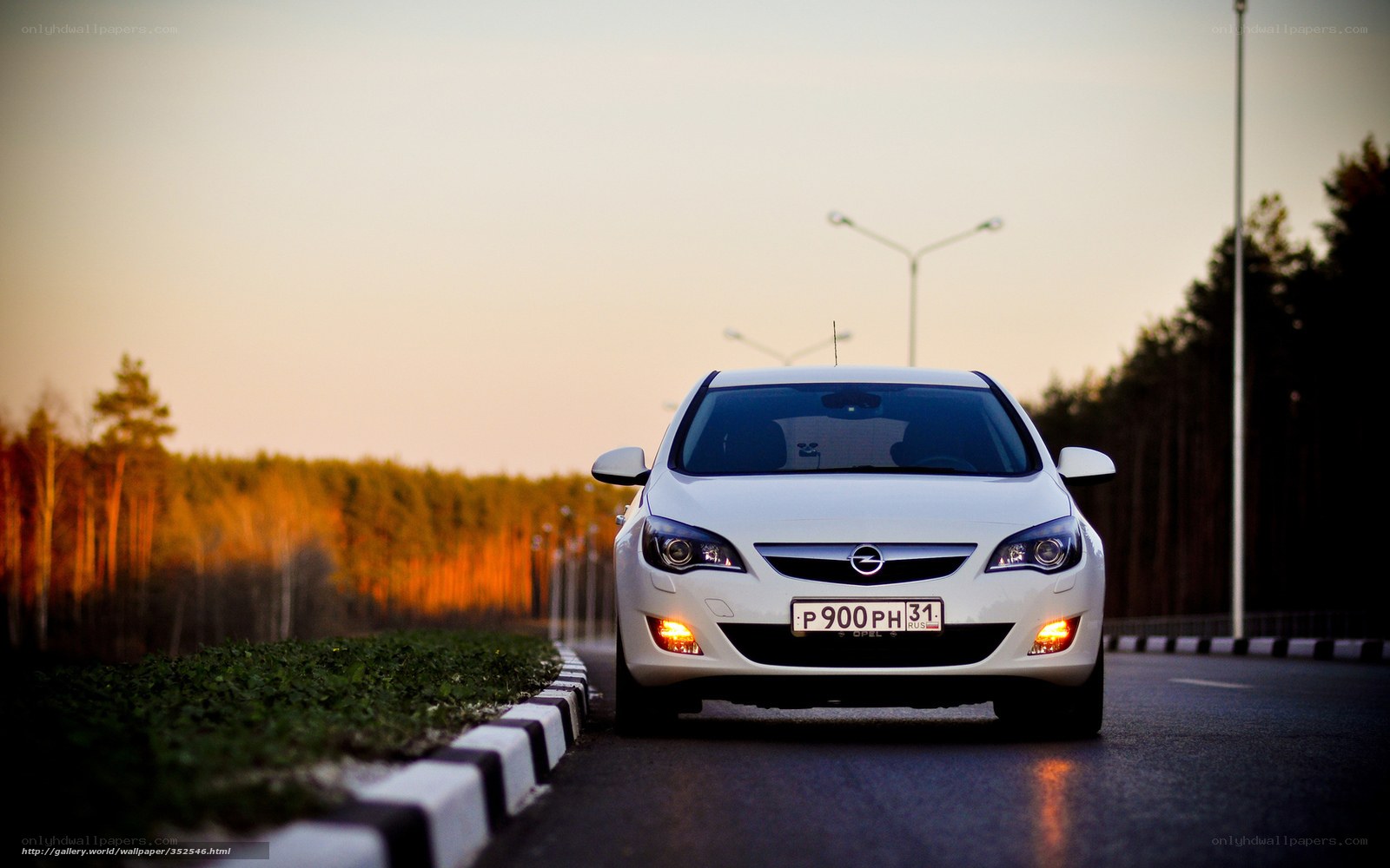 White car on road at sunset