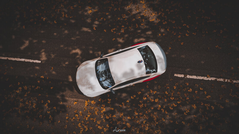 White Car on Road — Calm, Autumn
