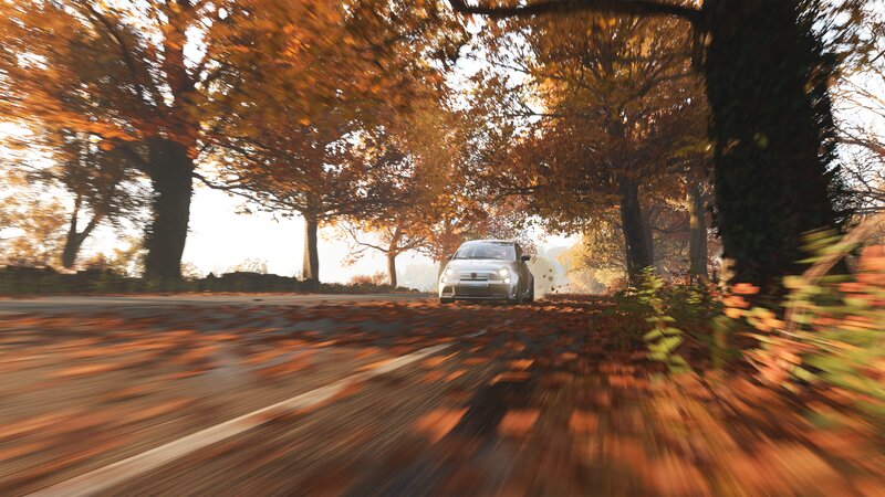 White Car on Road — Orange, Serene