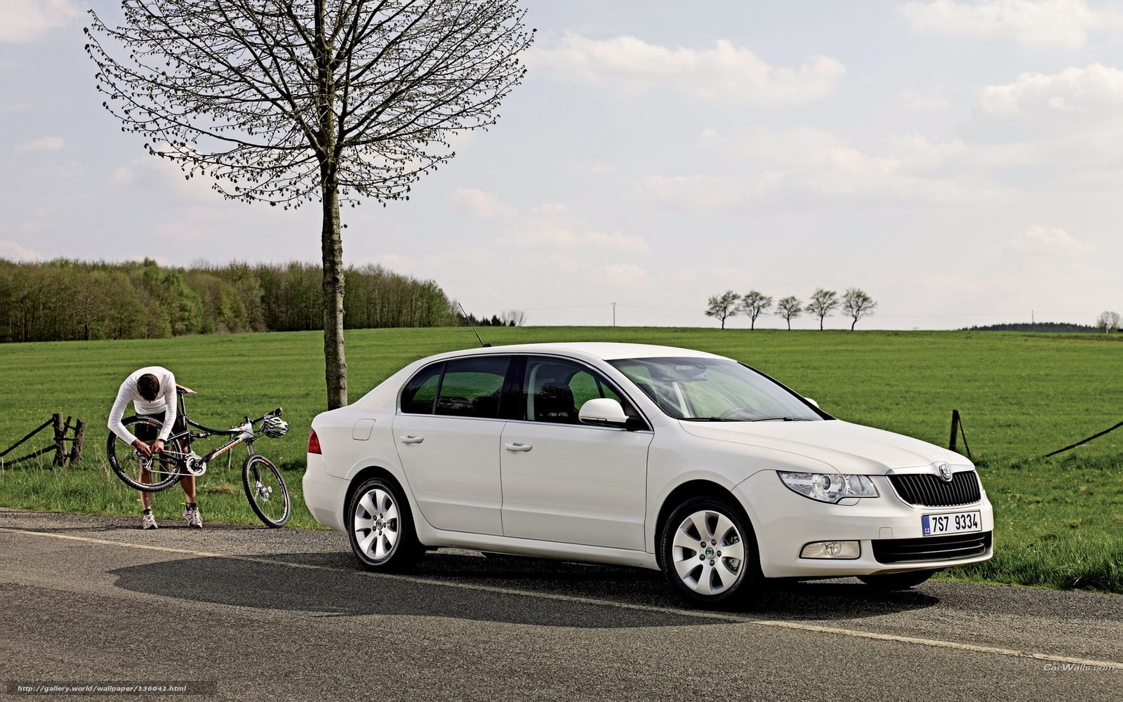 White car on rural road