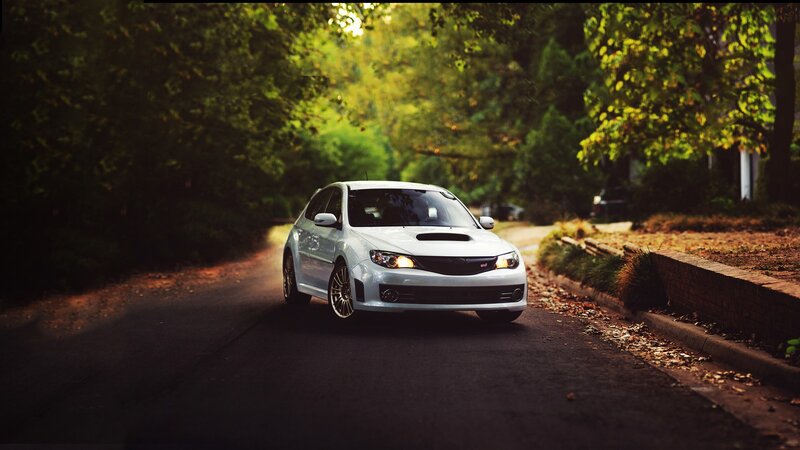 white car on tree-lined road