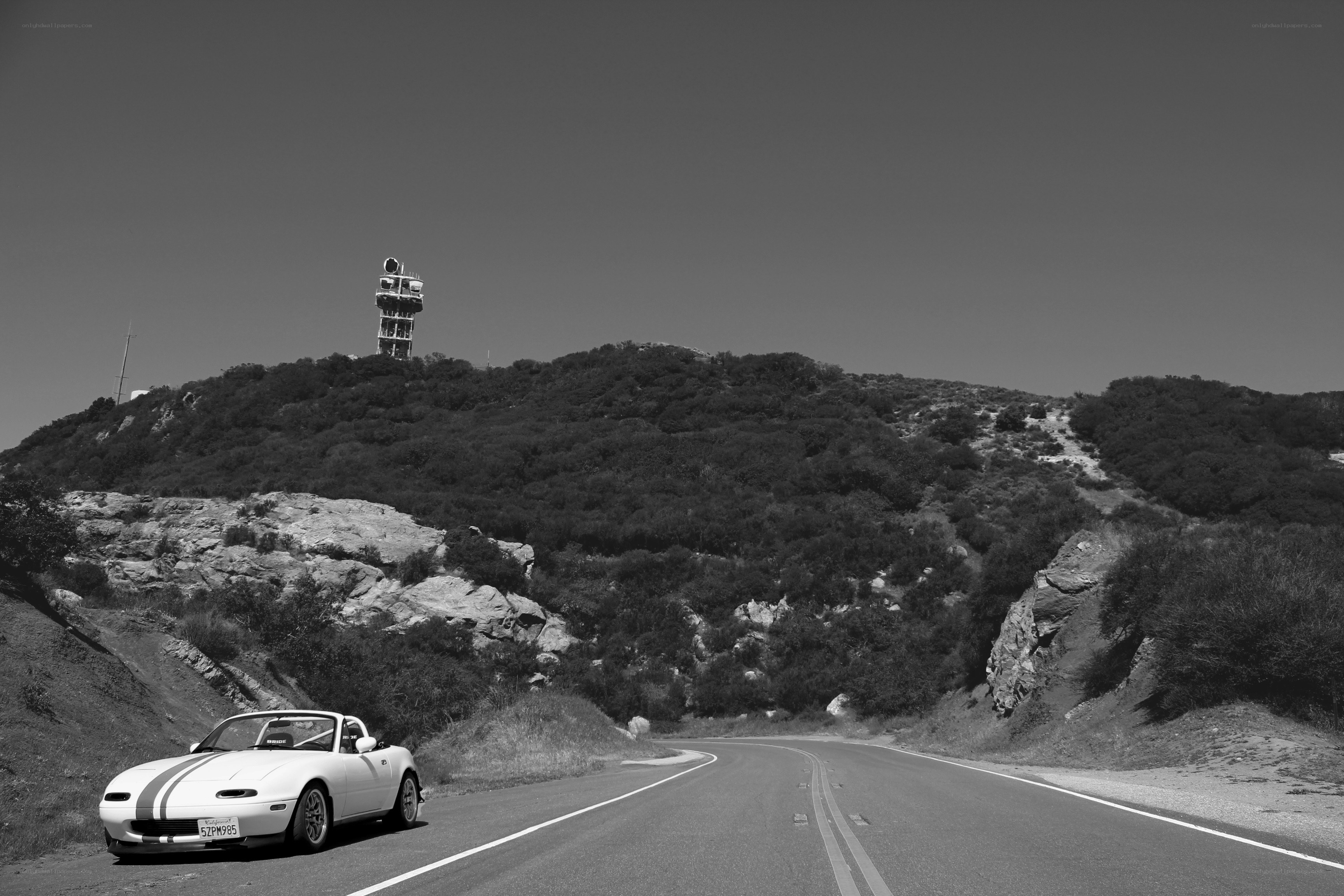White car on winding road