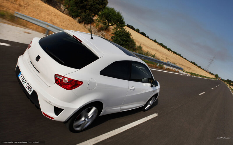 white car on winding road