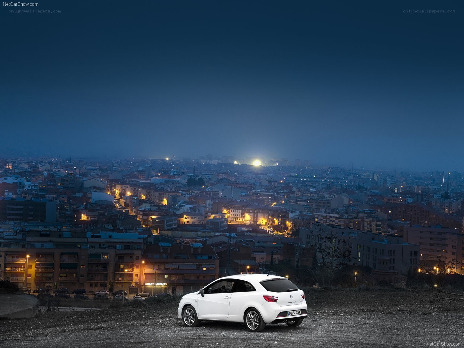 White car overlooking city at night
