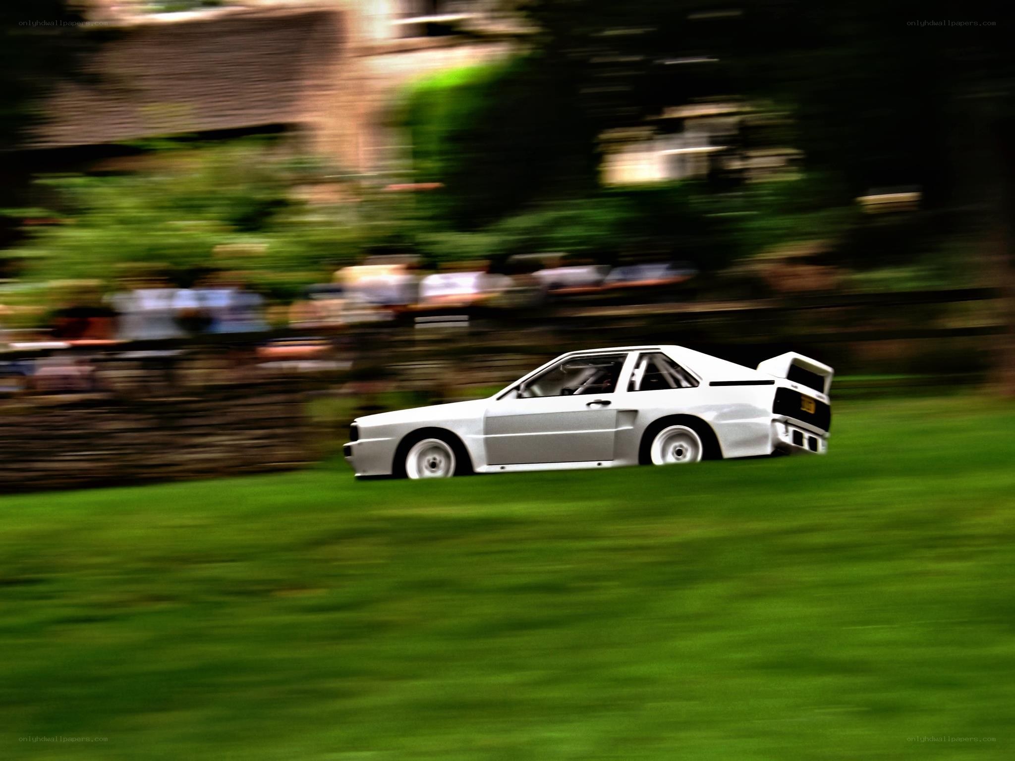 White car racing on grass