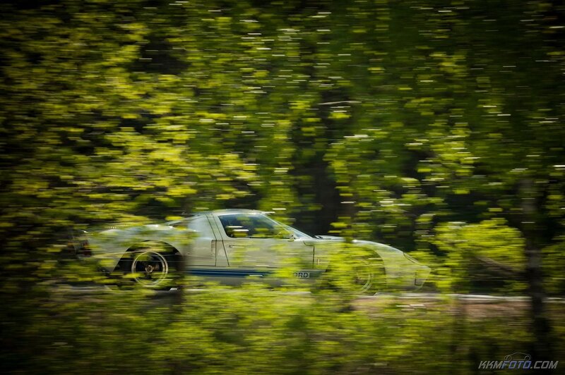 white car speeding through trees