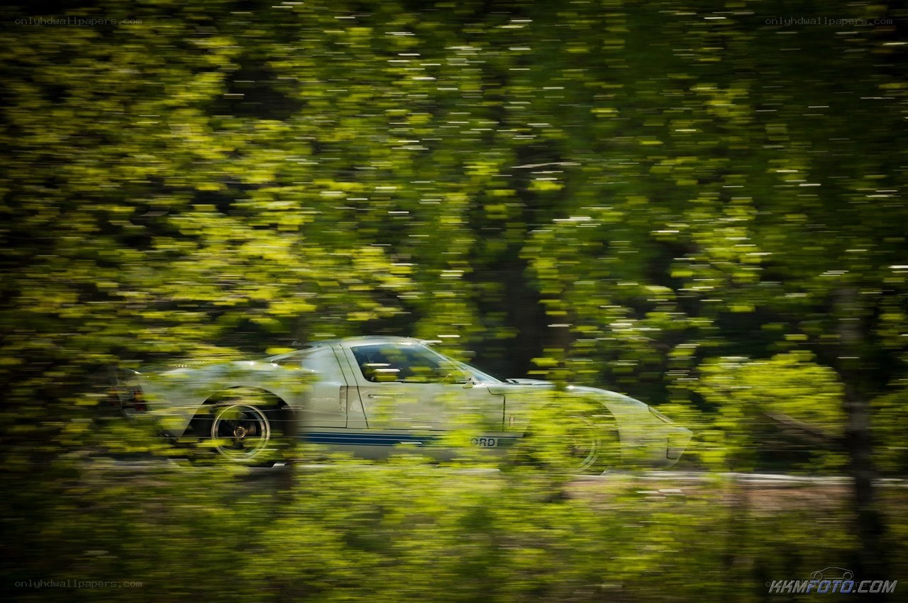 white car speeding through trees