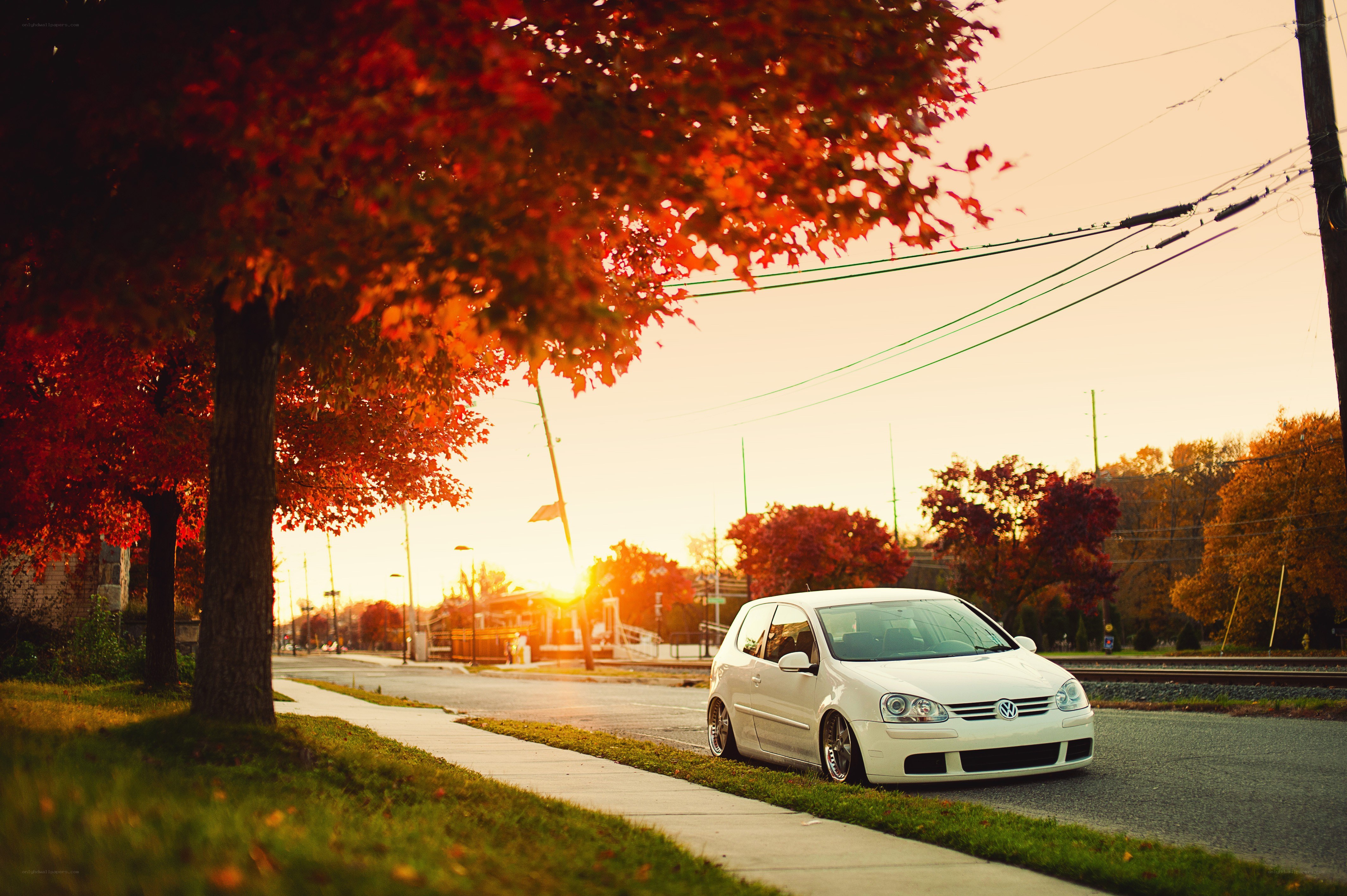White car under autumn trees