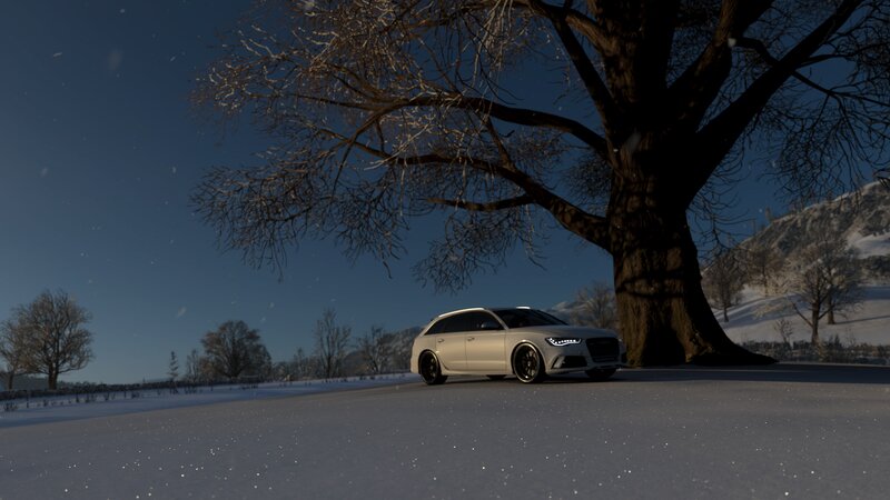 White Car under Tree