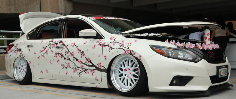 White Car with Cherry Blossoms