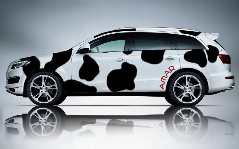 White Car with Cow Print