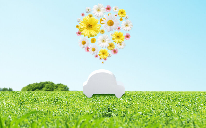White Car with Flowers — Green