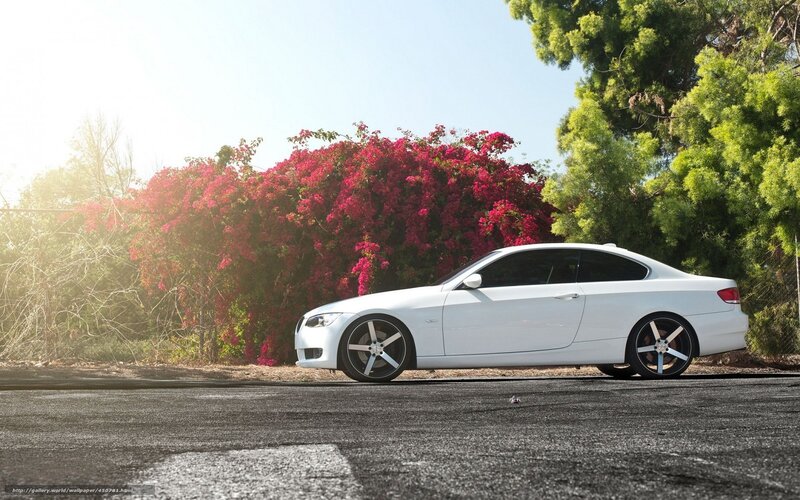 White car with flowers