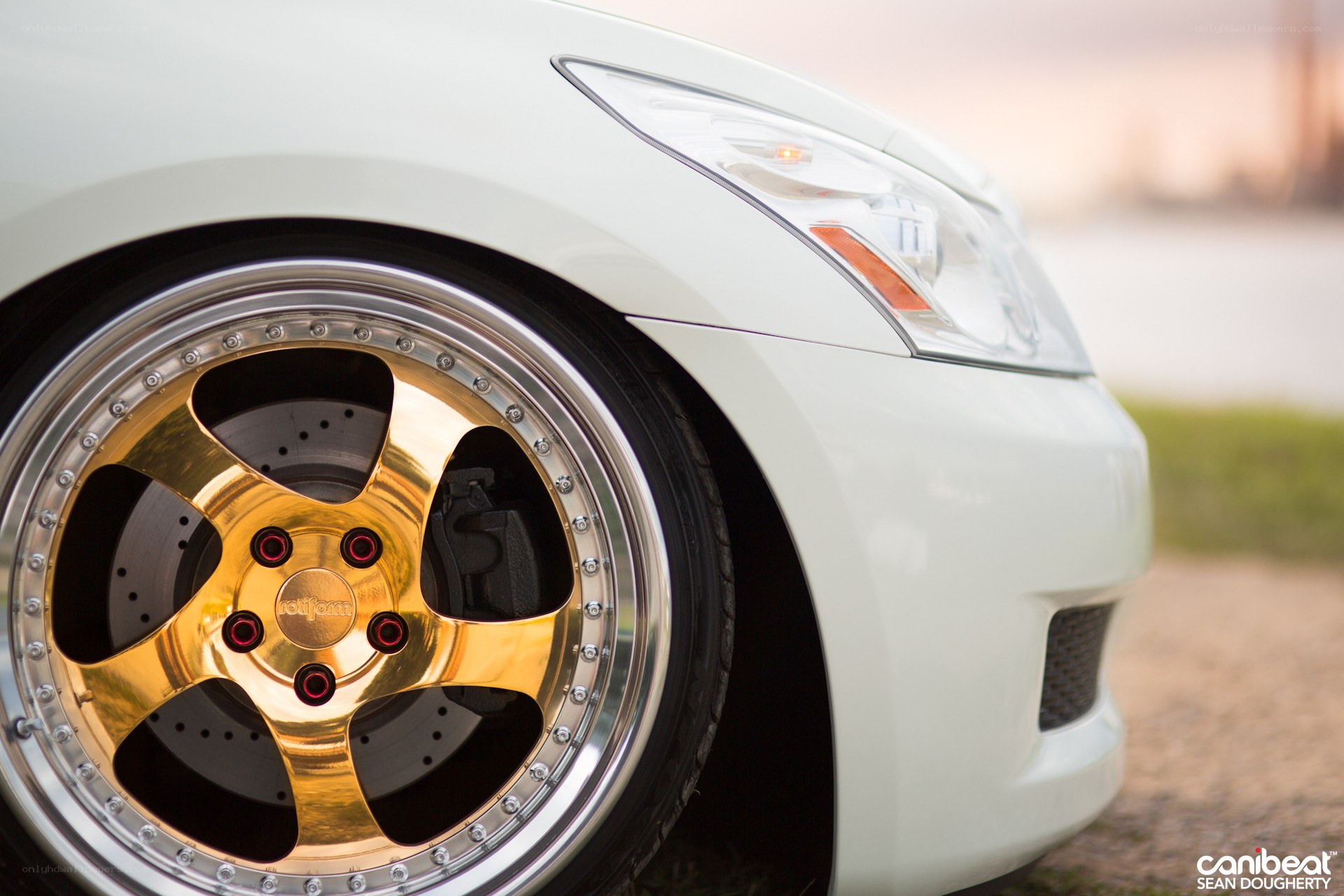 white car with gold wheels
