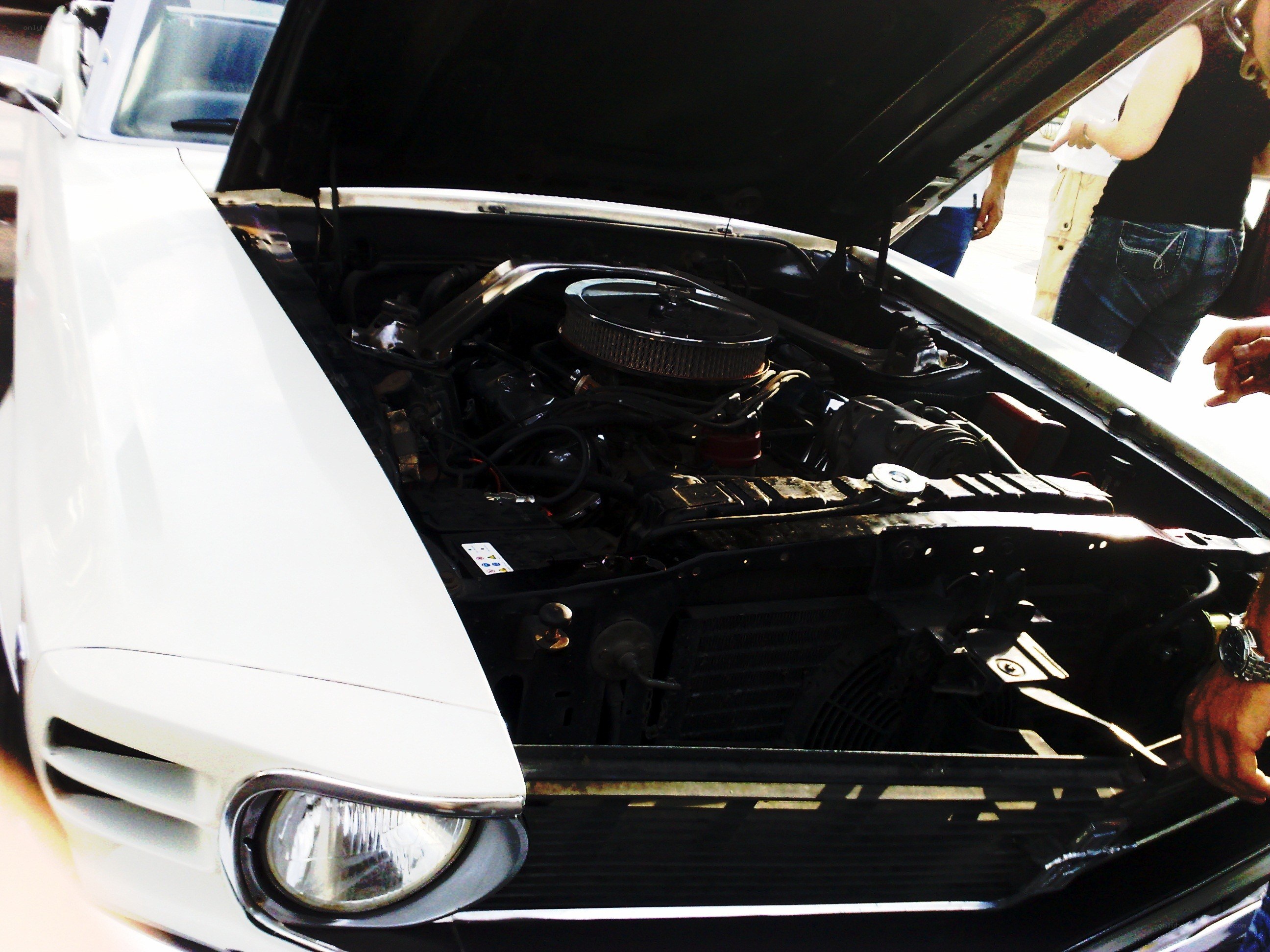 white car with open hood