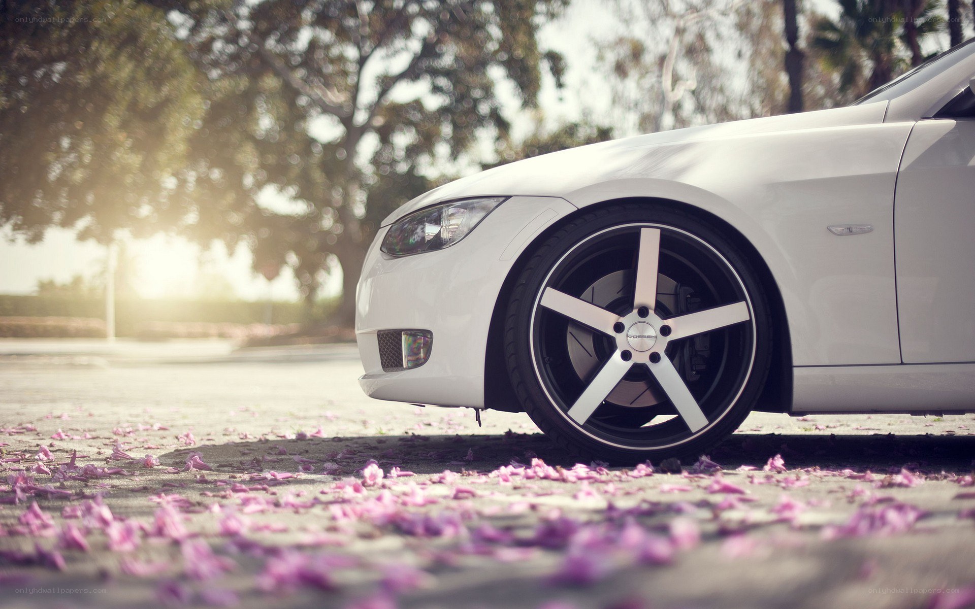 White car with pink petals