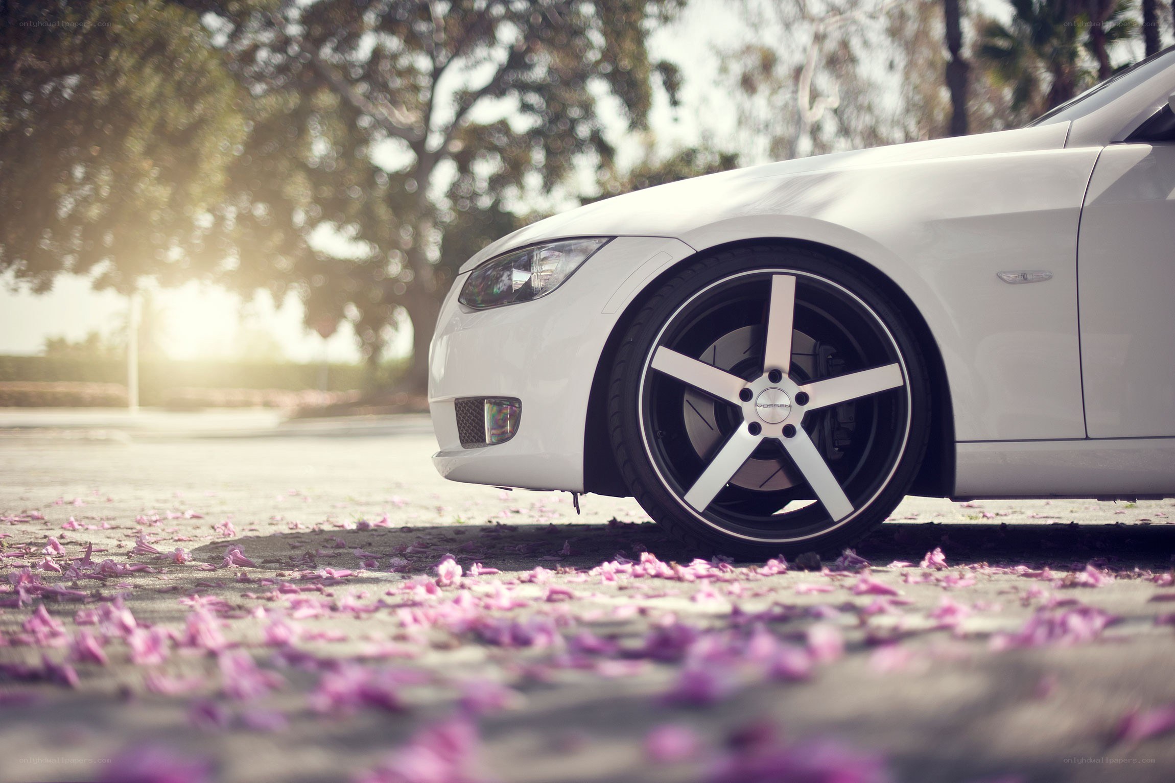 white car with pink petals