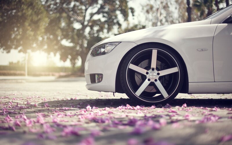 white car with pink petals