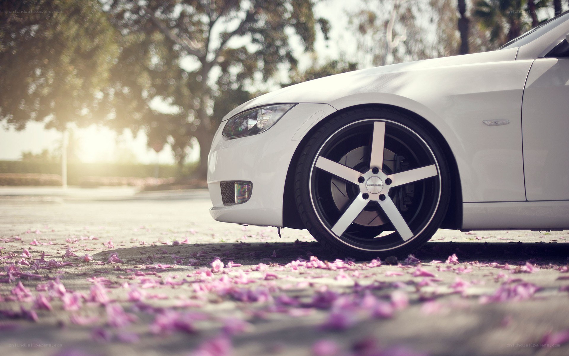 White car with pink petals