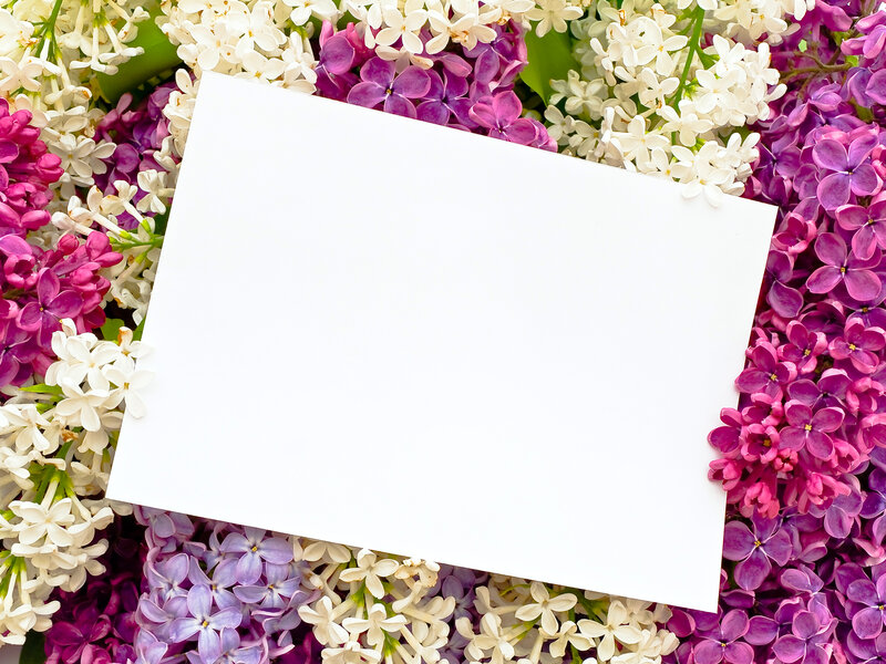White Card on Lilacs