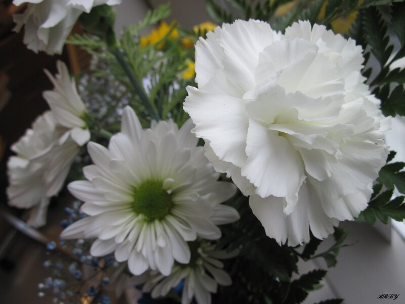 White Carnation Bouquet
