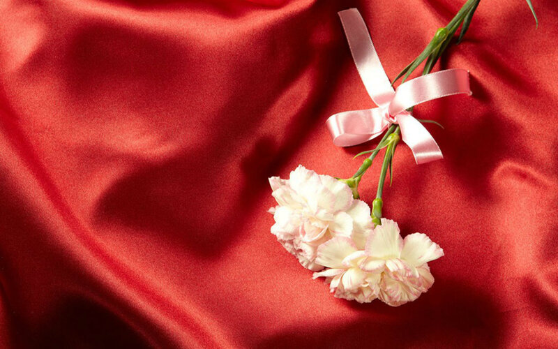 White Carnations on Red Fabric