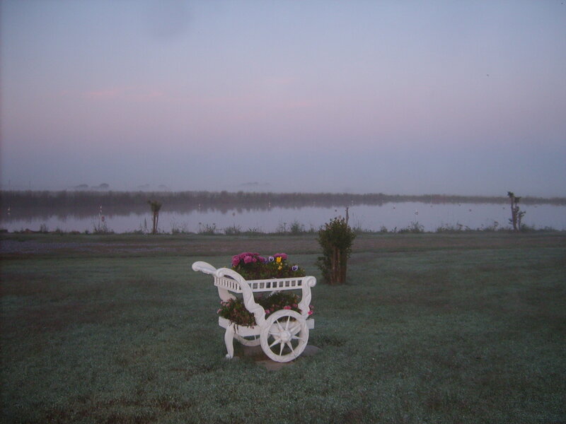 White Cart with Flowers