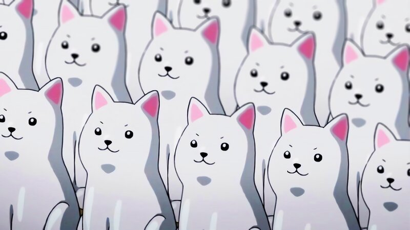 White Cartoon Dogs — Calm