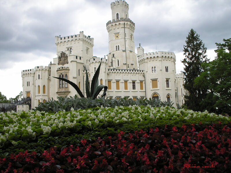 White Castle with Flowers