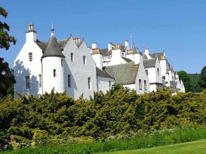 White Castle with Green Hedge