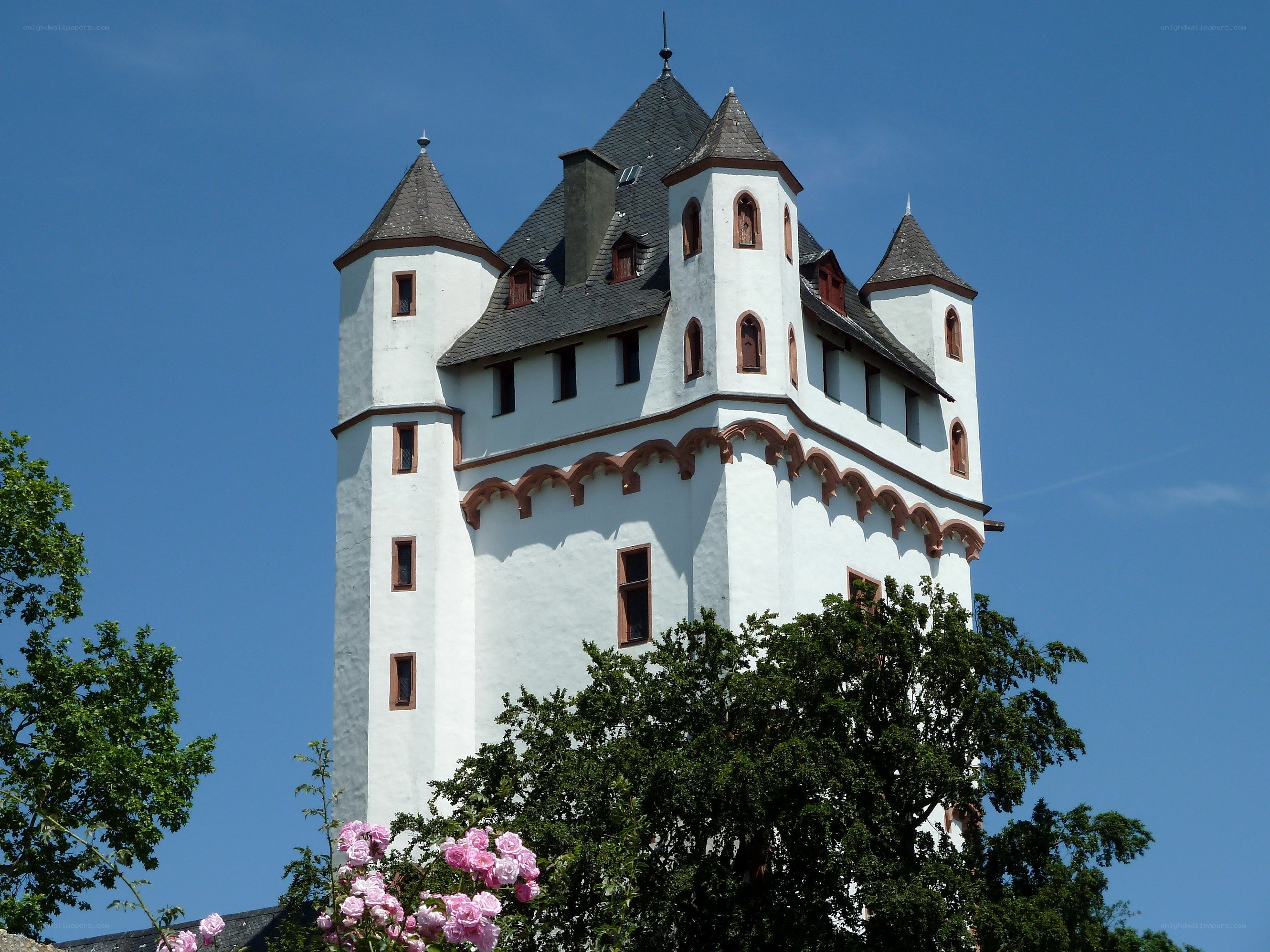 White castle with pink roses