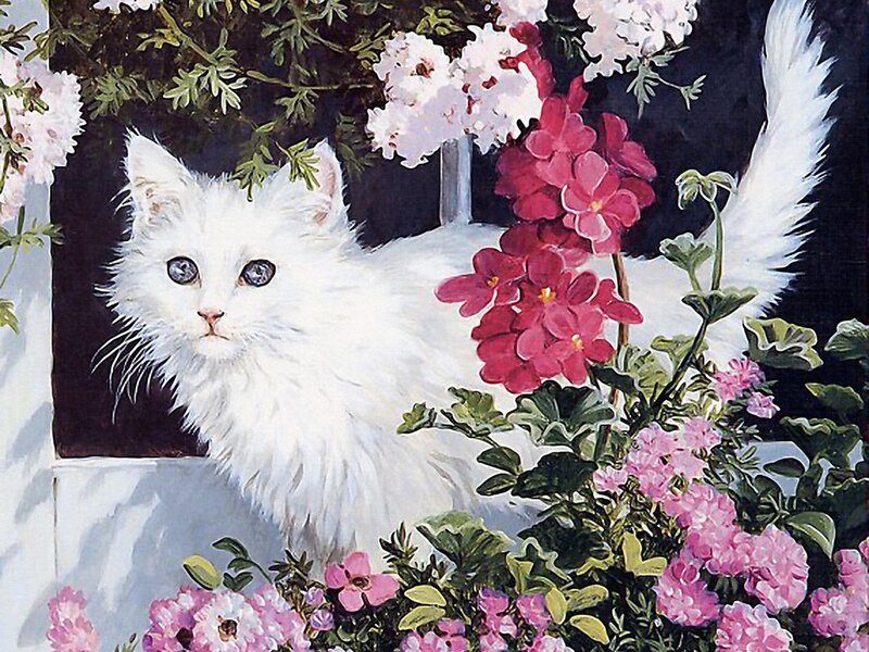 White Cat Among Flowers — Serene