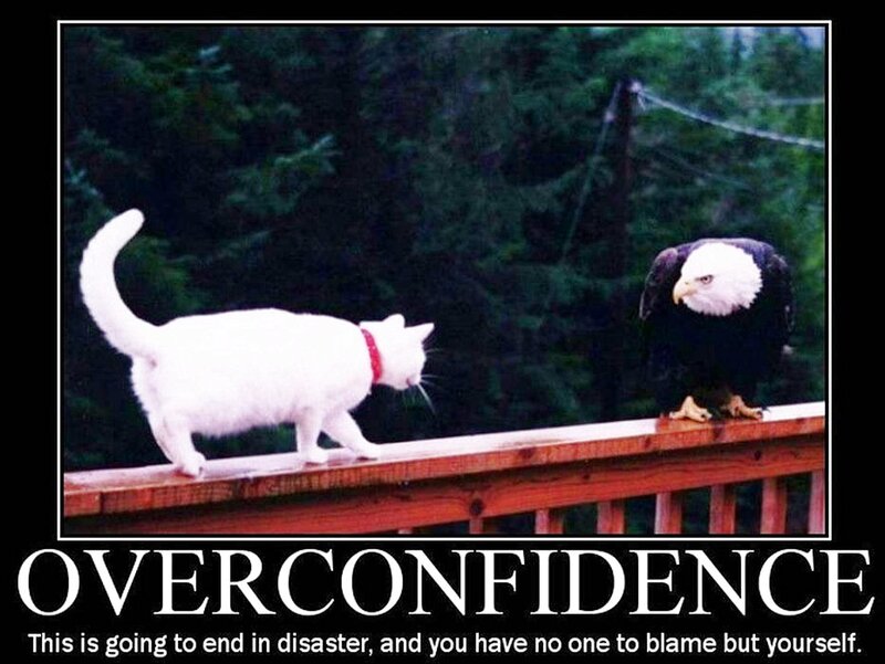 White Cat and Eagle