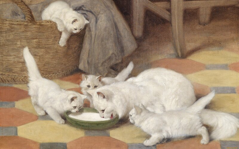 White Cat and Kittens — Calm